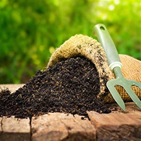 Optimizing Plant Health with Nesa Magic Compost Tea